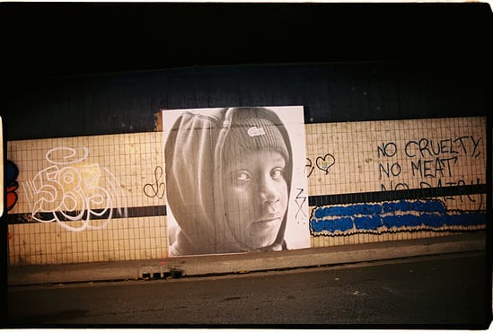 film photograph