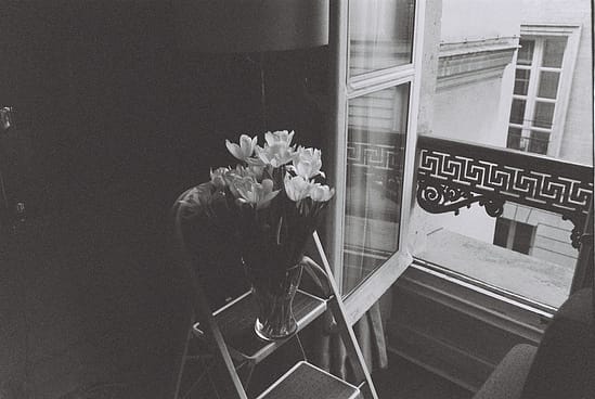 film photograph