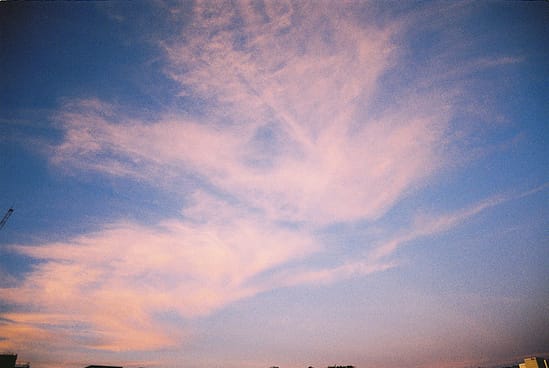 film photograph