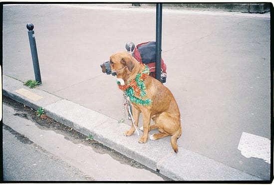 film photograph